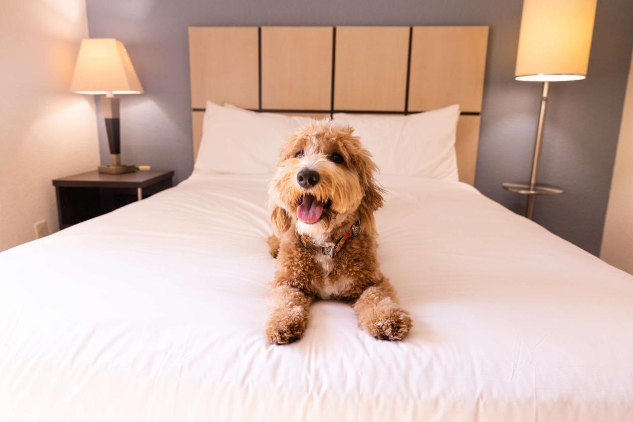Sonesta Simply Suites Boston Braintree Zewnętrze zdjęcie